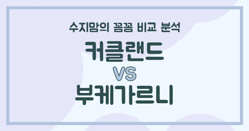 수지맘 살림템 액체 세탁세제 끝판왕 대결! 커클랜드 vs 부케가르니 꼼꼼 비교 분석 (내돈내산 솔직 후기)