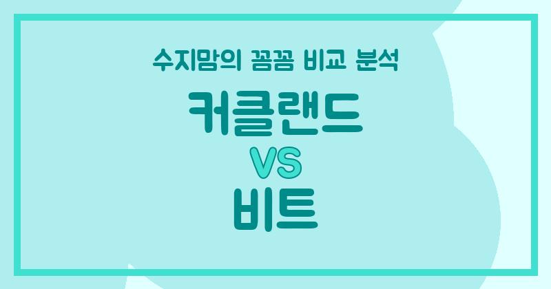 수지맘 리뷰 커클랜드 vs 비트 액체 세탁세제, 우리집 빨래는 누가 책임질까? (가격, 세척력, 안전성 꼼꼼 비교!)