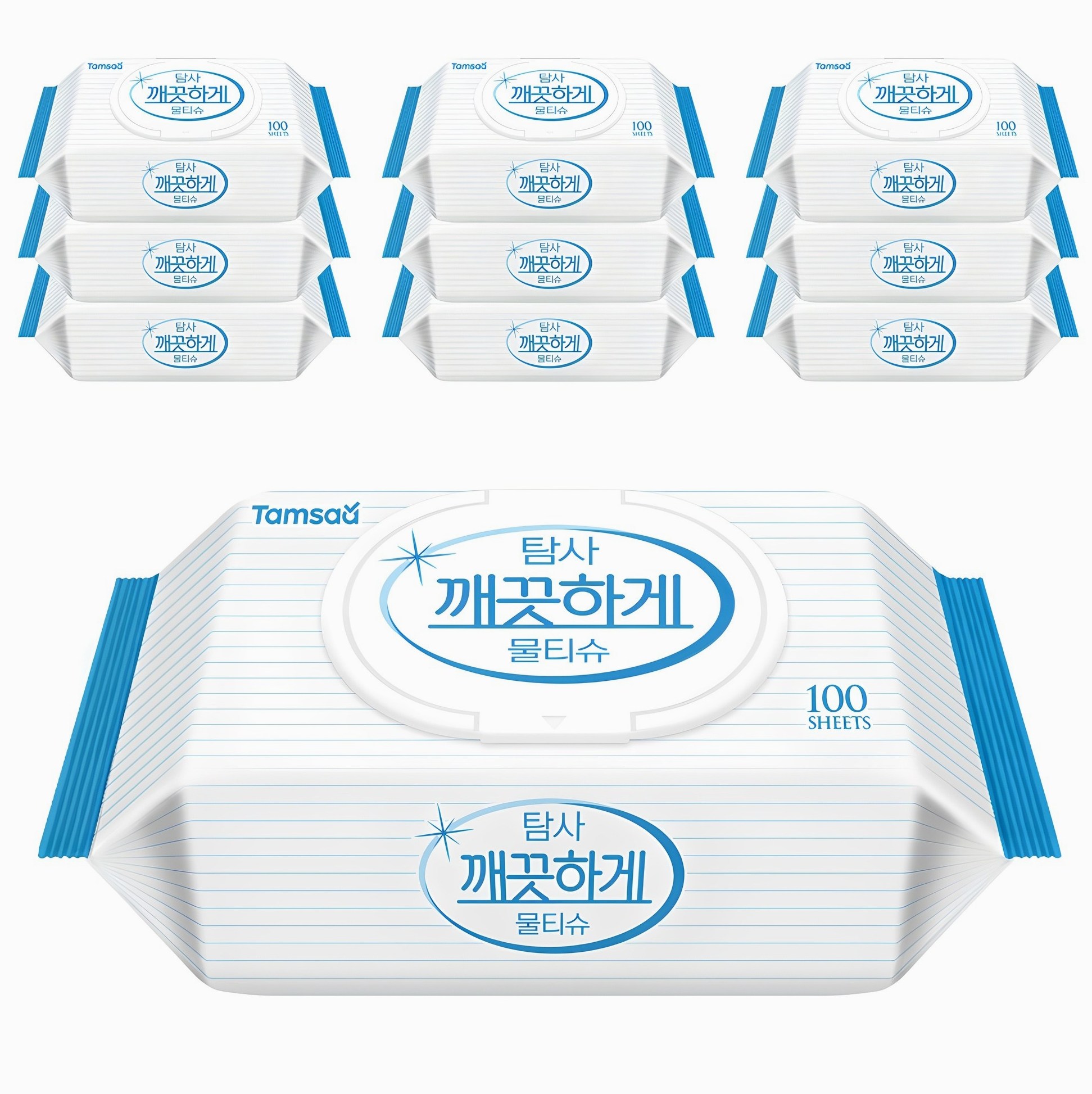 탐사 깨끗하게 도톰한 물티슈 캡형, 100개입, 10개